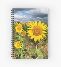 Sunflower Field - Nobby, Australia Spiral Notebook