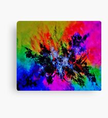 COLOUR FESTIVAL Canvas Print