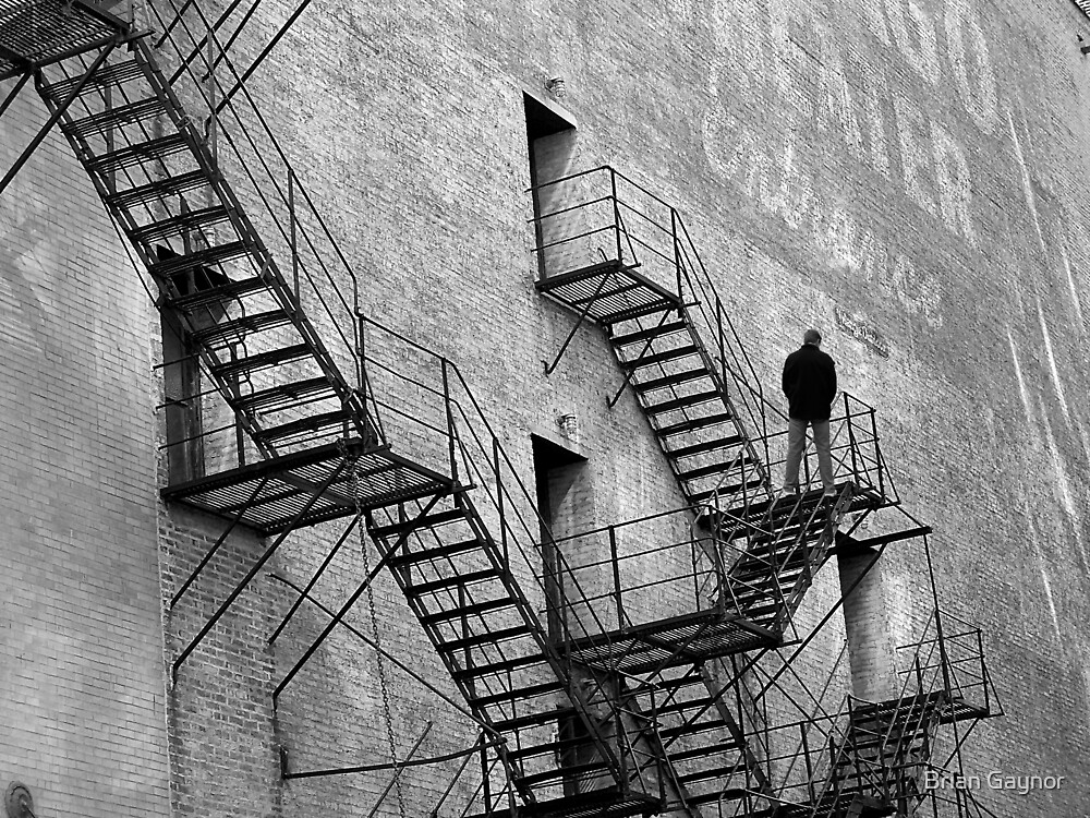 The Fire Escape by Brian Gaynor