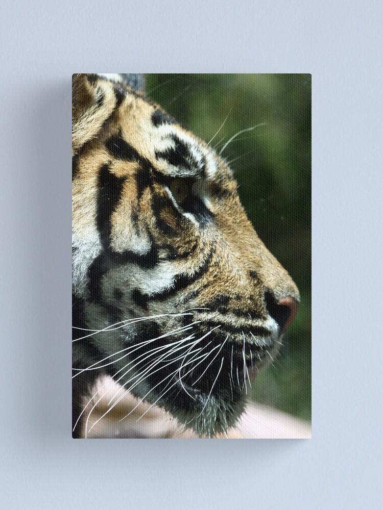 Alternate view of Watching Canvas Print