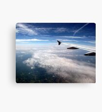 Angel's Wing Canvas Print