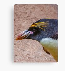 Macaroni Canvas Print