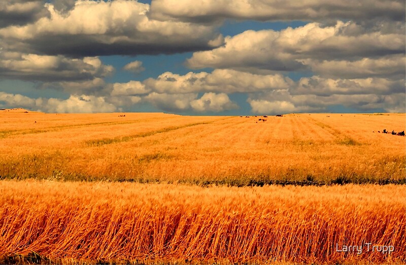 "Bread Basket of the World" by Larry Trupp Redbubble