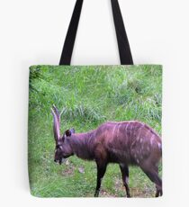 Roaming Tote Bag