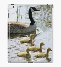 Canada Geese (Branta canadensis) iPad Case/Skin