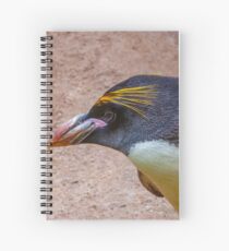 Macaroni Spiral Notebook