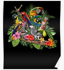 Parrot Bird Macaw Ara Poster