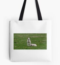 Lambs of Mam Tor Tote Bag