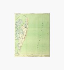 USGS TOPO Map Georgia GA Cumberland Island 247408 1930 62500 Art Board