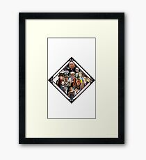 13 Doctors Framed Print