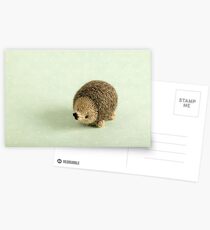 Hedgehog Postcards