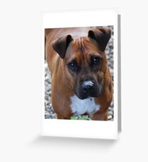 Who are you Greeting Card