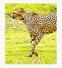 “Champion Of The Sprint”, Photo / Digital Painting Photographic Print