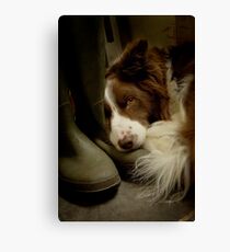 Smelly Welly Canvas Print