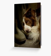 Smelly Welly Greeting Card