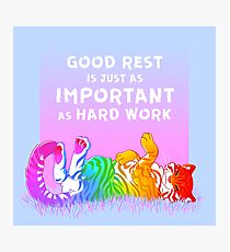 "Good Rest is Just as Important as Hard Work" Rainbow Tiger Photographic Print