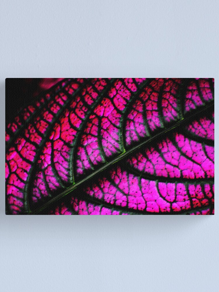 Alternate view of Coleus Canvas Print