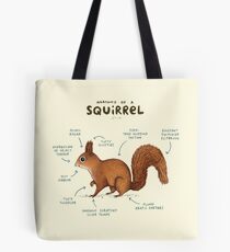 Anatomy of a Squirrel Tote Bag