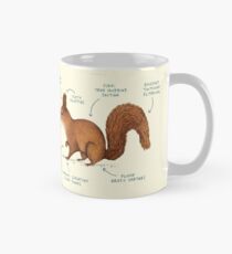 Anatomy of a Squirrel Mug