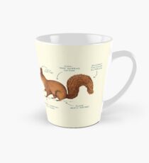 Anatomie eines Eichhörnchens Tasse (groß)