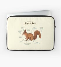 Anatomie eines Eichhörnchens Laptoptasche