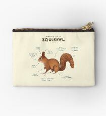 Anatomy of a Squirrel Studio Pouch
