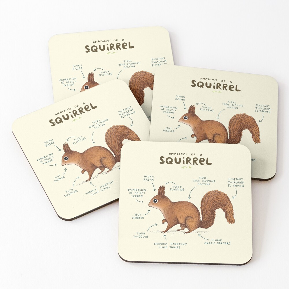 Anatomy of a Squirrel Coasters (Set of 4)