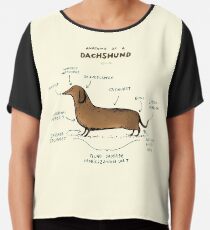Anatomy of a Dachshund Chiffon Top
