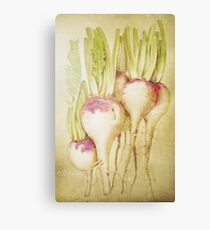 Turnips Canvas Print