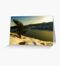 The lonley Winter Evergreen Tree Greeting Card