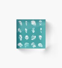 Skulls Acrylic Block