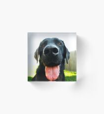 Black happy Acrylic Block