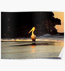 suntan Poster