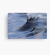 Cutting Edge Canvas Print