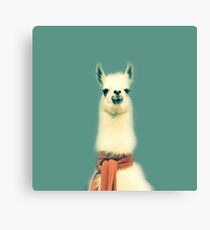 Llama Canvas Print