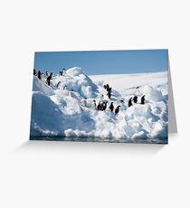 Line Up Greeting Card