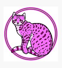 Transwoman Wildcat Photographic Print