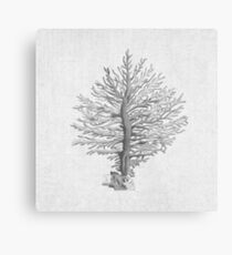 Grey Tree Coral Malerei Strand nautischen Island Beach Decor Metalldruck