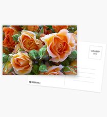 Roses and Buds Postcards