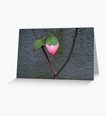 Color Greeting Card