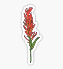 Indian Paintbrush Sticker