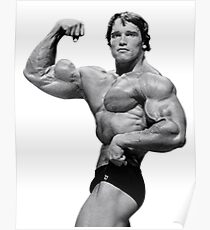 Arnold Schwarzenegger Poster