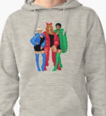 PPG Pullover Hoodie