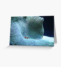 Clownfish Greeting Card