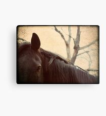 Dark Horse Metal Print