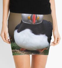 Puffins (VIII), Lunga Island, Scotland Mini Skirt