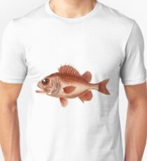 Big Eyed Fish Unisex T-Shirt