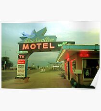 Blue Swallow Poster