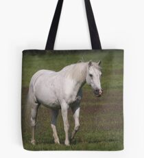 Connemara pony Tote Bag
