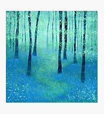 Bluebells, Challock Photographic Print